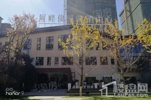 俊发河畔俊园实景图