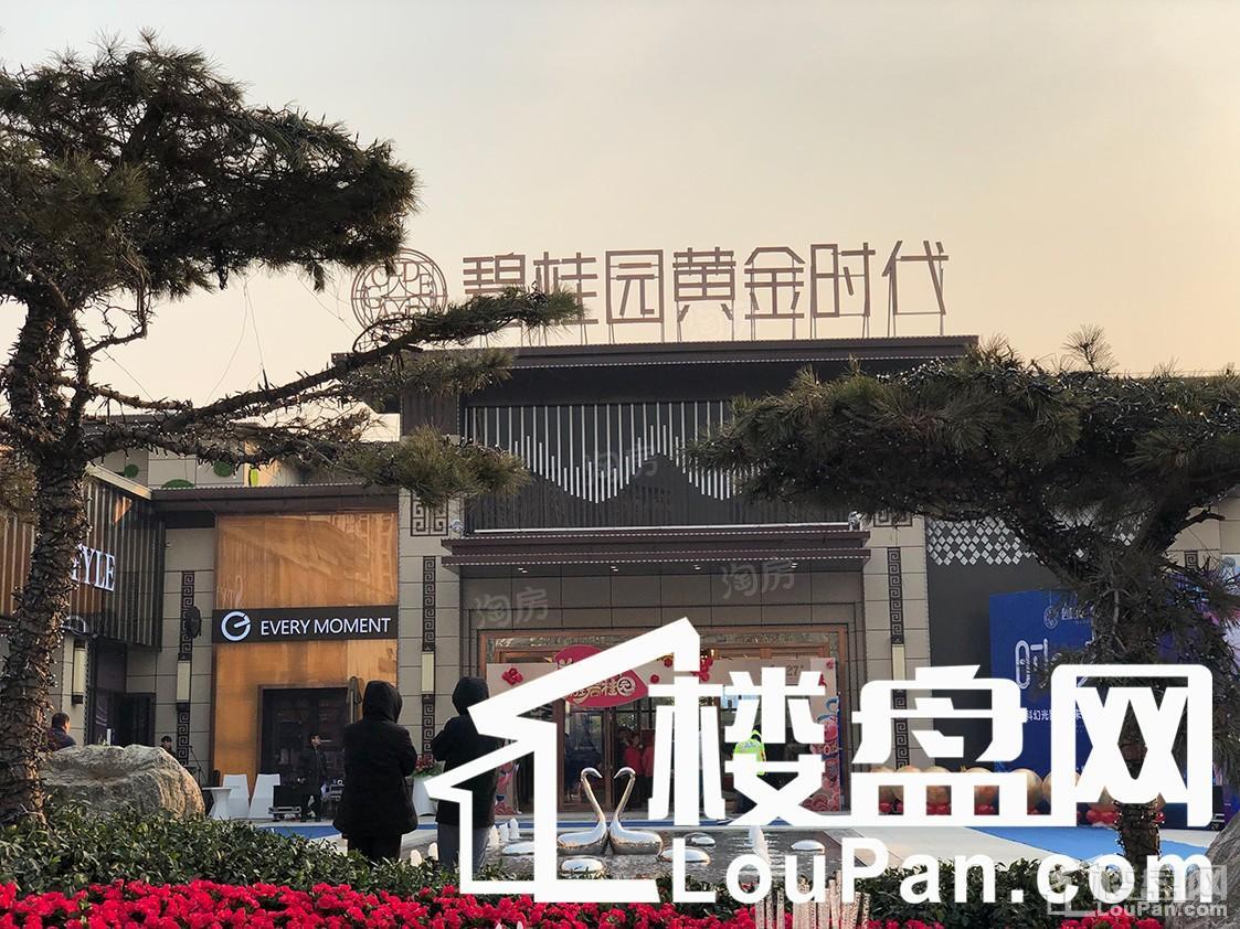 泰安碧桂园黄金时代实景图