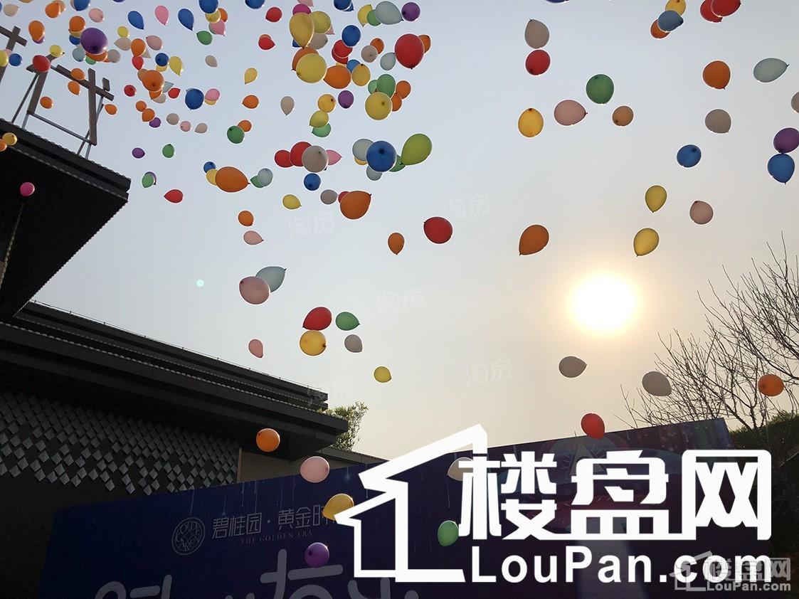 泰安碧桂园黄金时代实景图