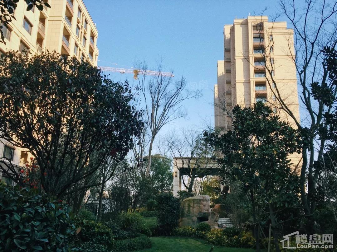 佳源珑境实景图