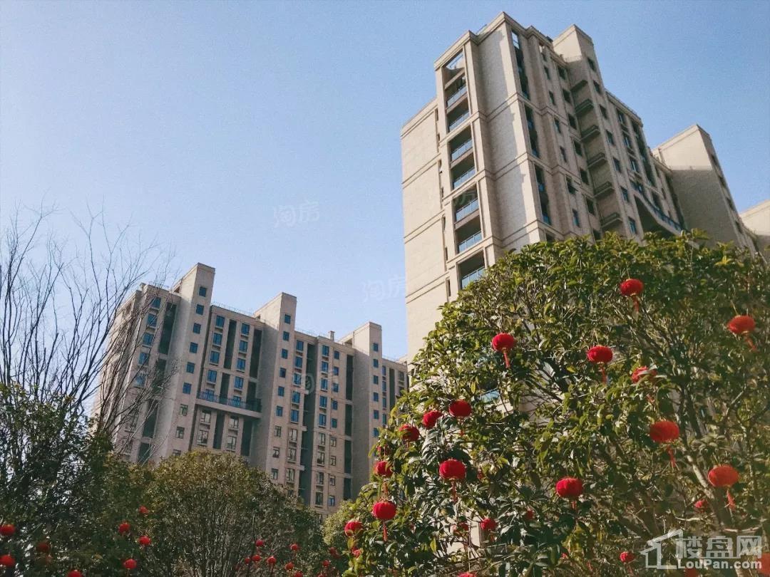 佳源珑境实景图
