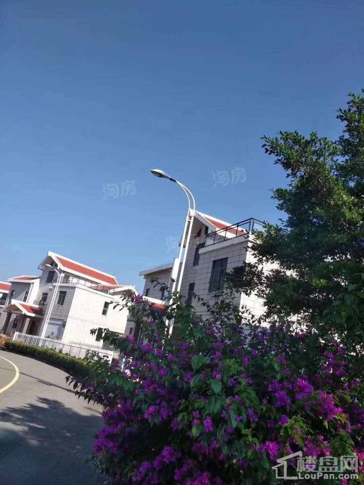 景成新城实景图