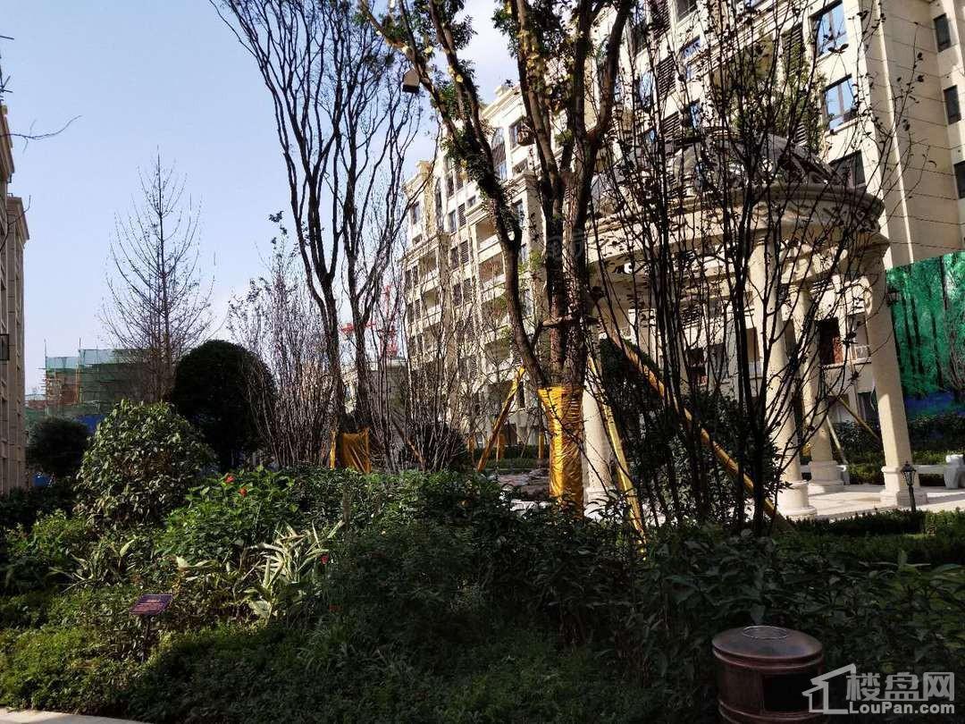 珠江城实景图