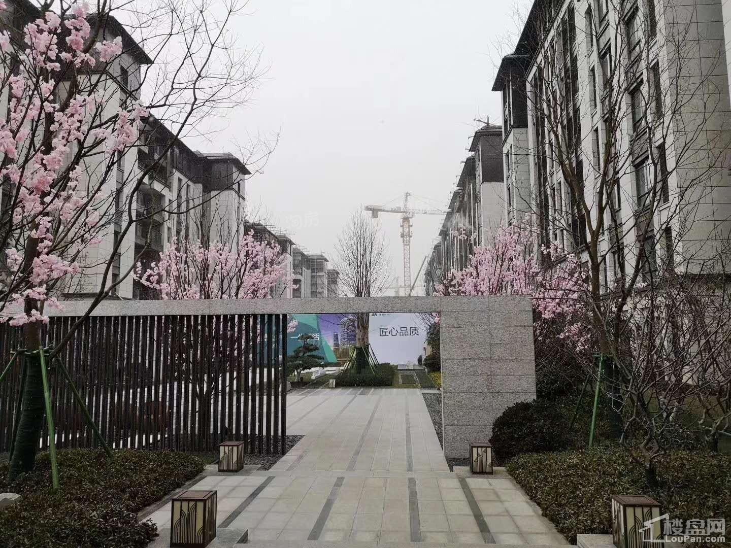 雅居乐富春山居实景图