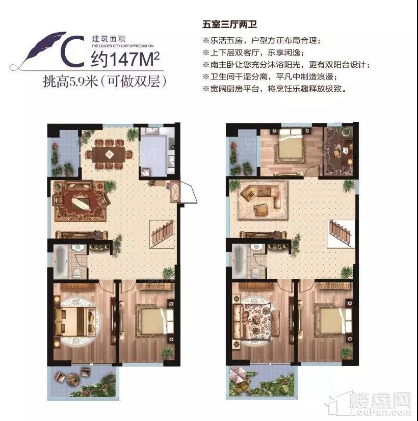 户型图片