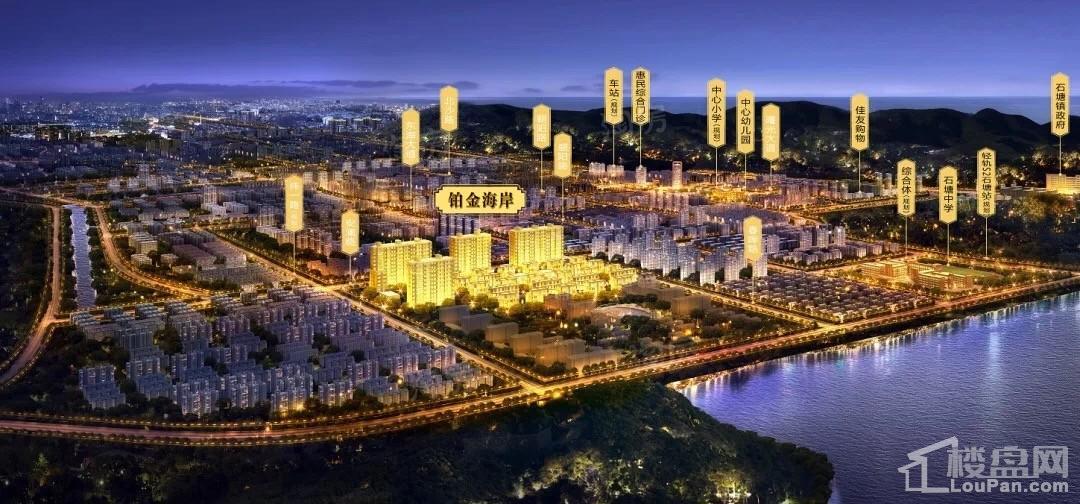 滨江铂金海岸效果图
