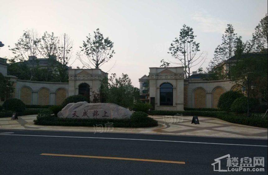 天成锦上效果图