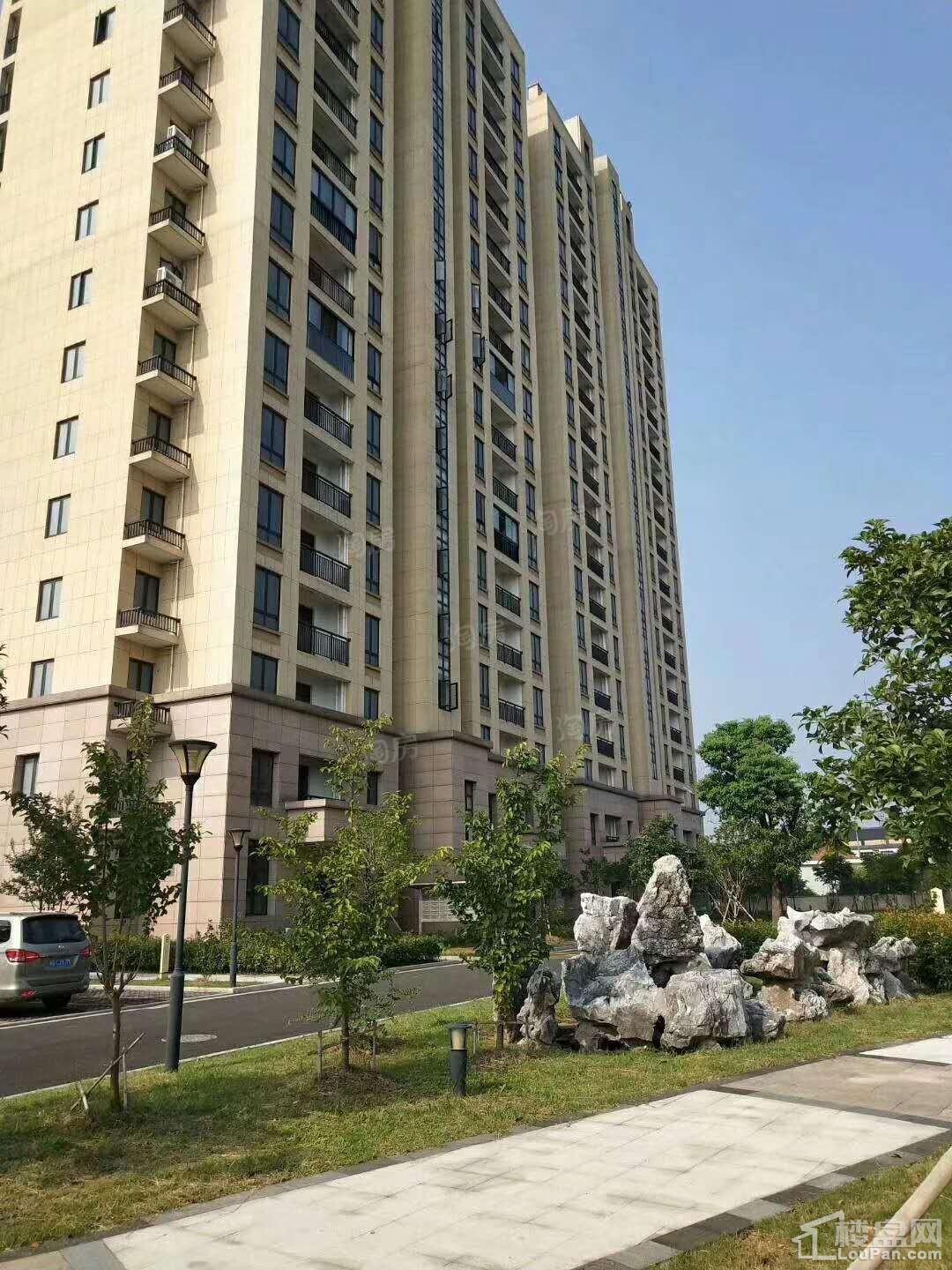 中联明珠园效果图