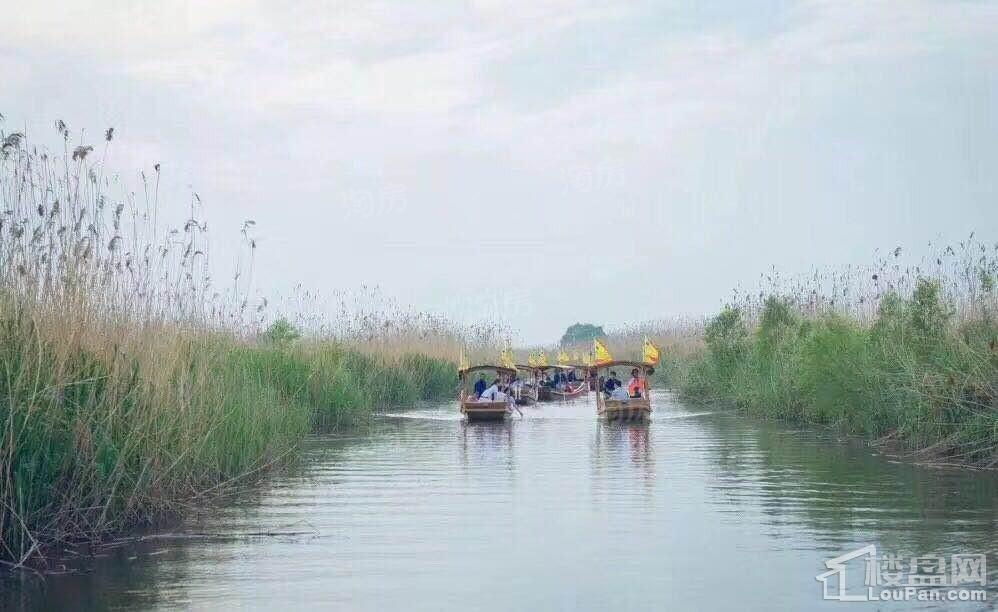 龙凤佳苑实景图