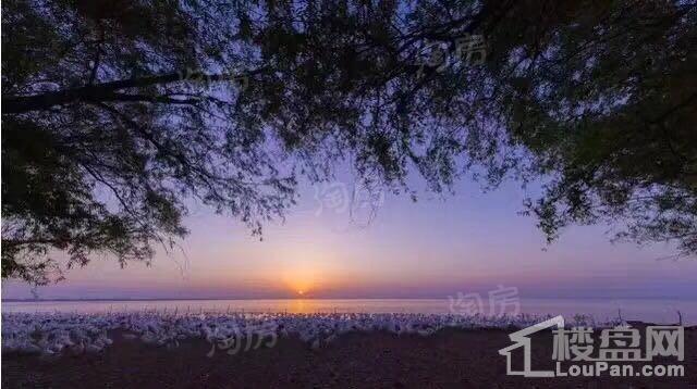 龙凤佳苑实景图