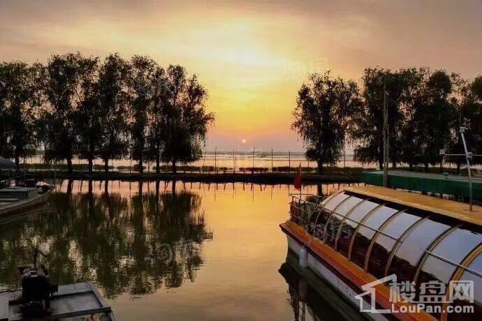 龙凤佳苑实景图