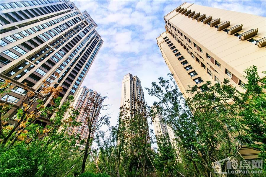 中海城实景图