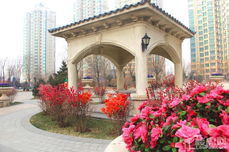 恒大雅苑实景图