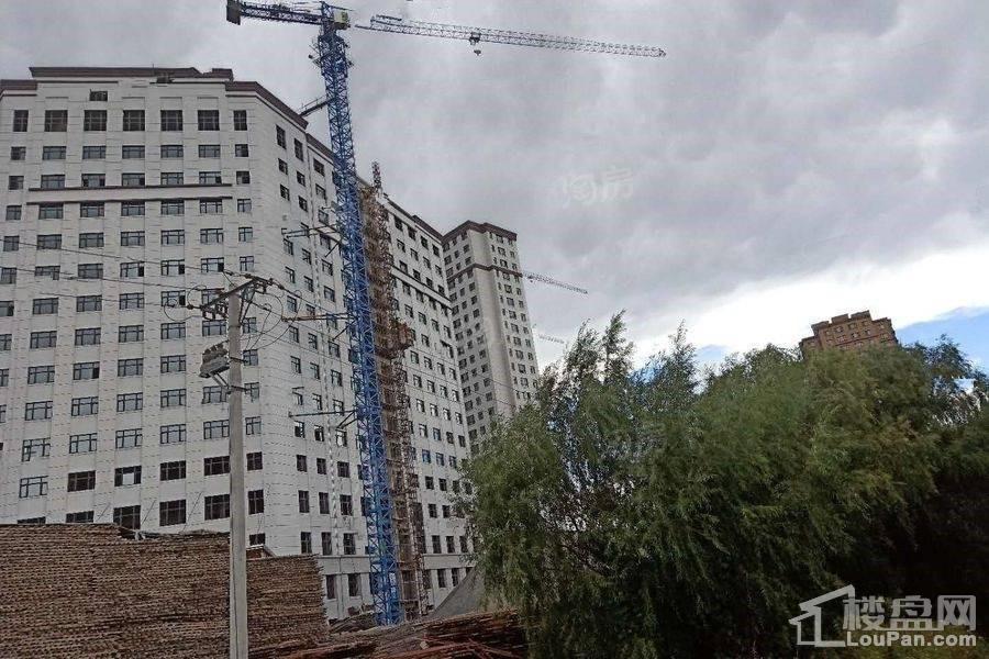 颐品雅居实景图