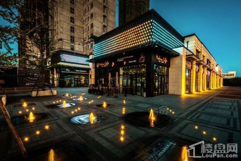 中海和平之门棠颂实景图