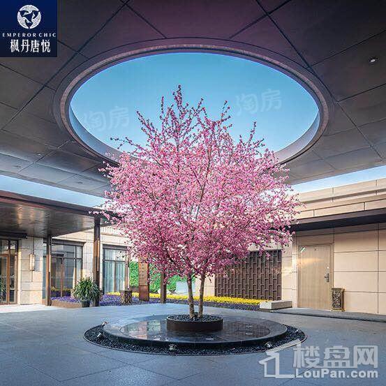 远洋合能枫丹唐悦实景图