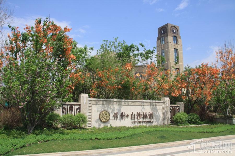 保利白沙林语实景图