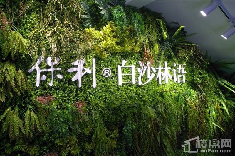 保利白沙林语样板间
