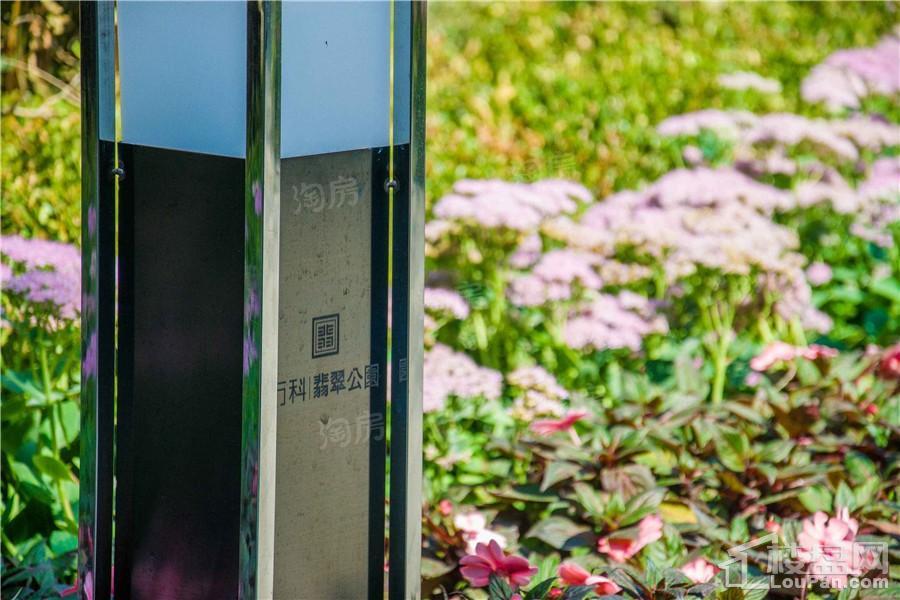 万科翡翠公园实景图