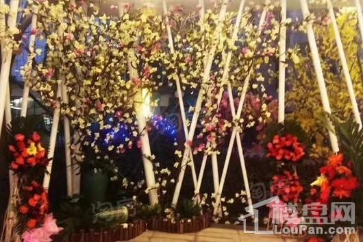 雅居乐熙苑实景图