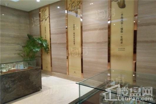 建屋吴郡半岛实景图