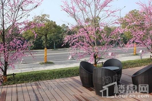 城东宝龙广场实景图
