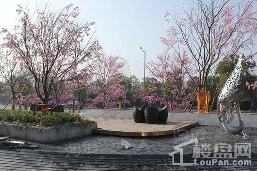 城东宝龙广场实景图