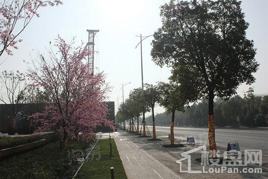 城东宝龙广场实景图