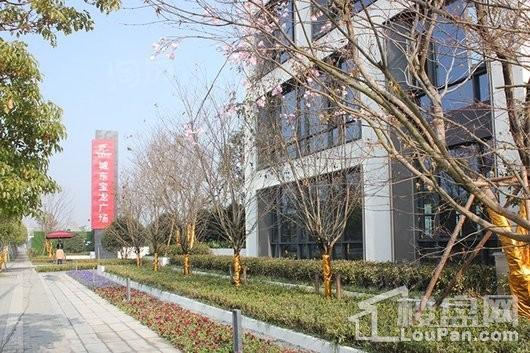 城东宝龙广场实景图