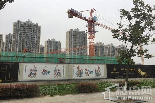 织金华庭实景图