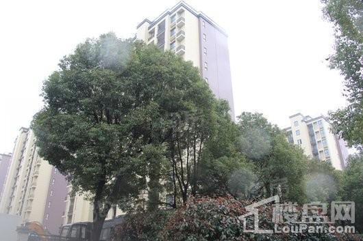 建屋天著实景图