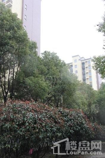 建屋天著实景图