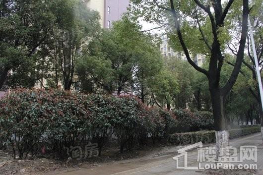 建屋天著实景图