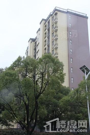 建屋天著实景图