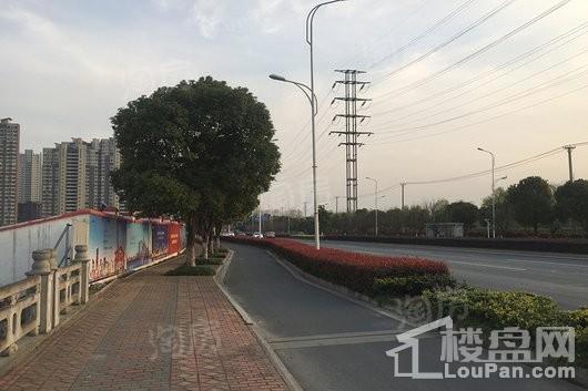 海玥名都实景图