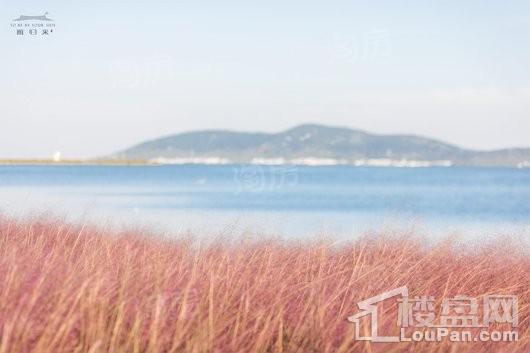 雁归来院实景图