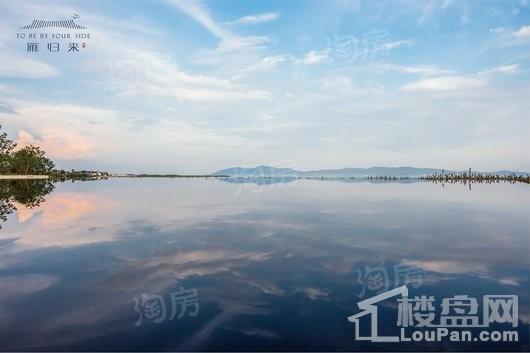 实景图