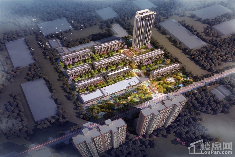 金科中南集美尚景效果图