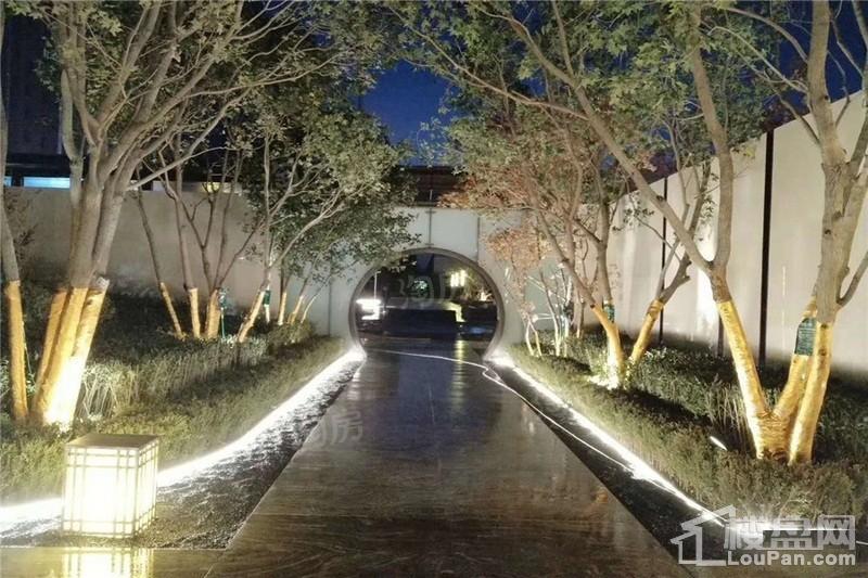 金科中南集美尚景实景图