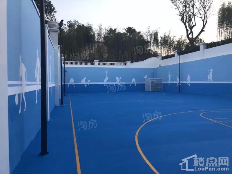 实景图
