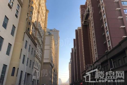 剑桥春雨实景图