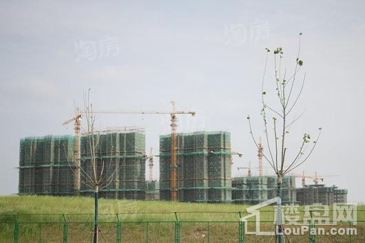 招商·雍华府实景图