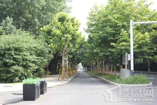 招商·雍华府配套图