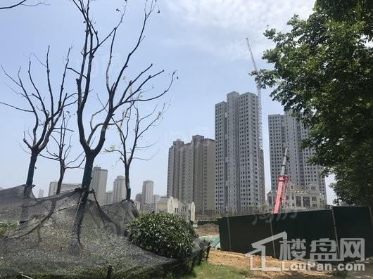 御璟·江山实景图