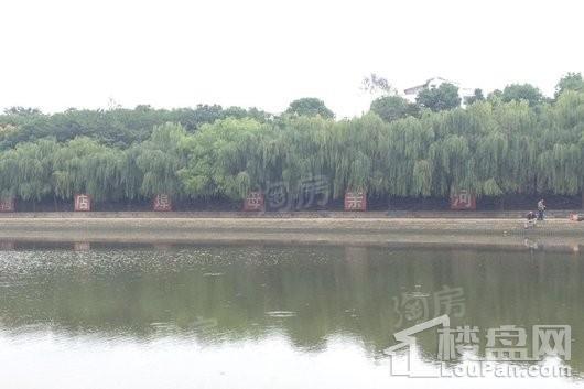 周边配套图