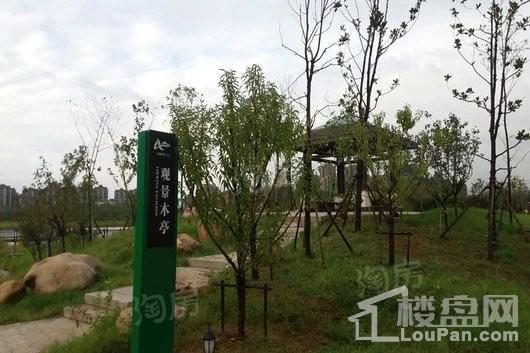 新城·云樾观棠配套图