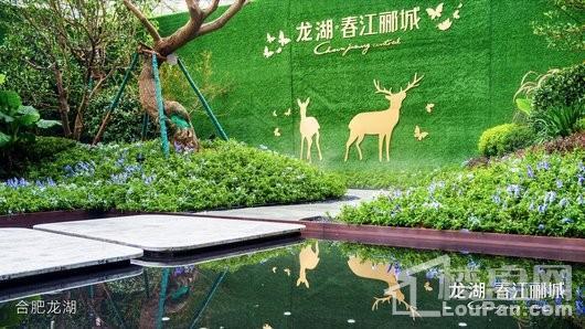 龙湖·春江郦城实景图