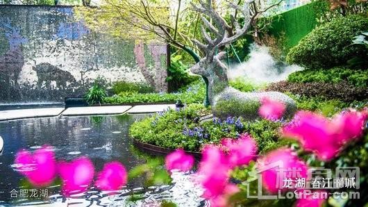 龙湖·春江郦城实景图