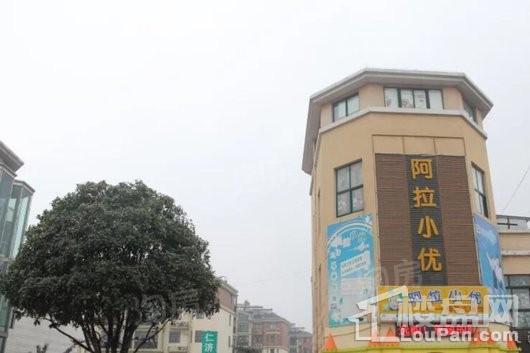 龙湖·春江郦城配套图