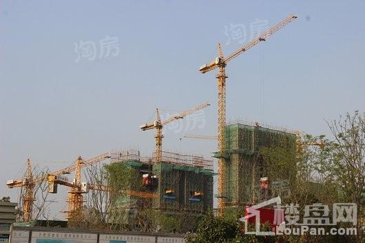 融侨观澜实景图